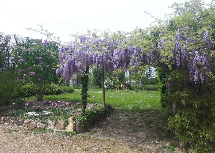 LOGÉVEIL - Maison d'hôtes Charme et Bien-être - proche forêt et golf
